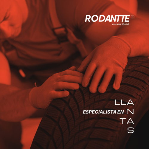 Especialista en Llantas